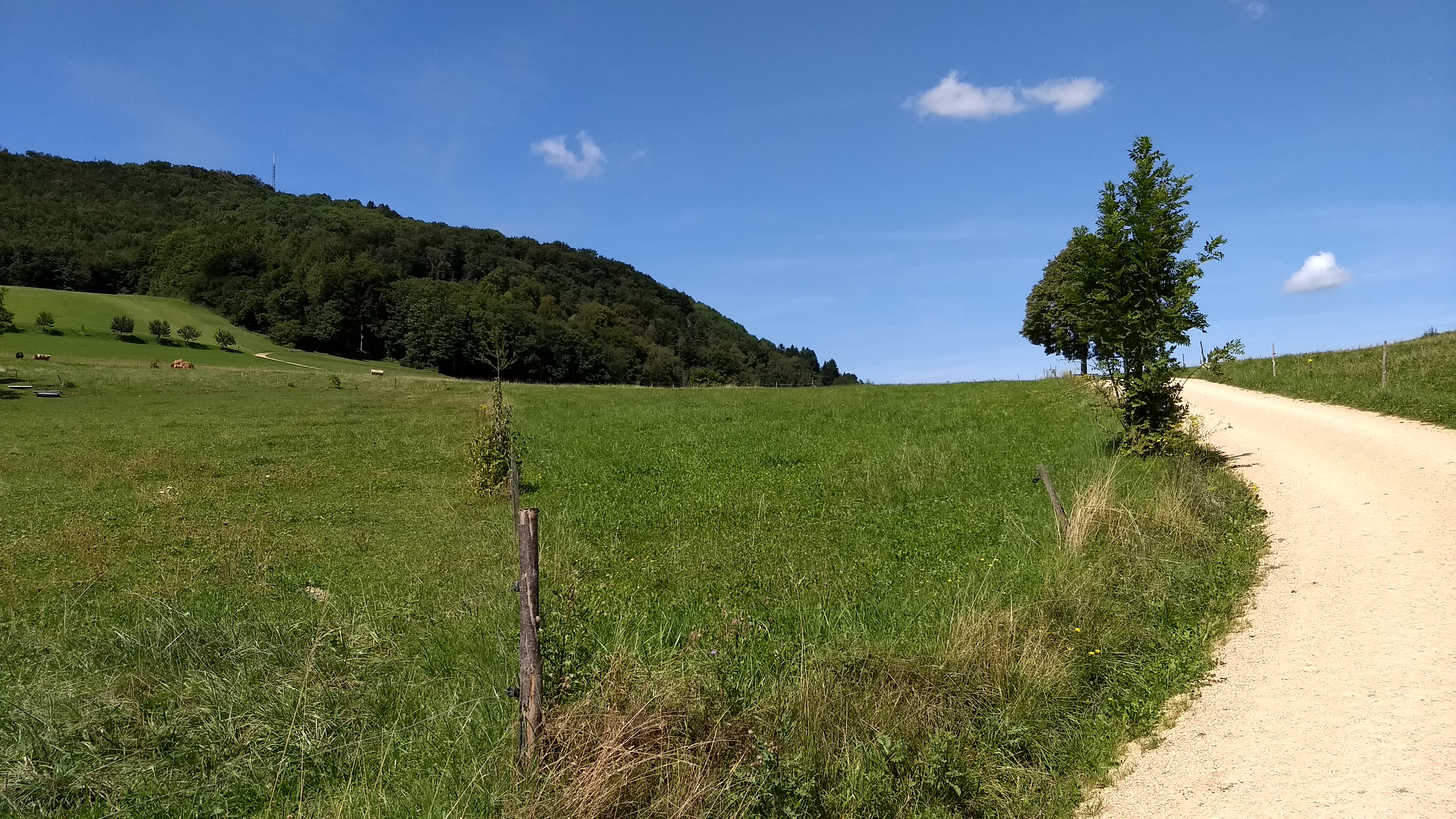 The paved road ends as it winds around this pasture.